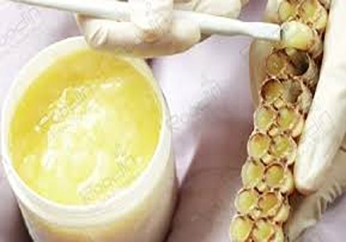 تصویر 4 از خرید و قیمت ژل رویال اصل + فروش صادراتی
